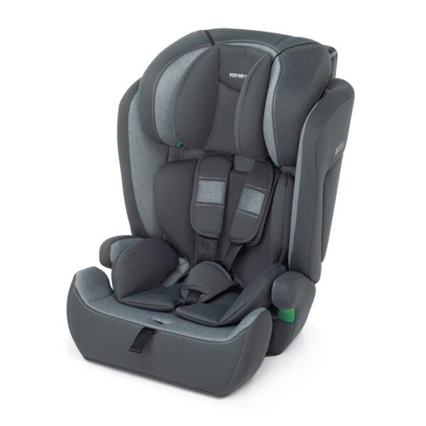 Foppapedretti Babyroad I-Size Car Seat - Silver - Image 2