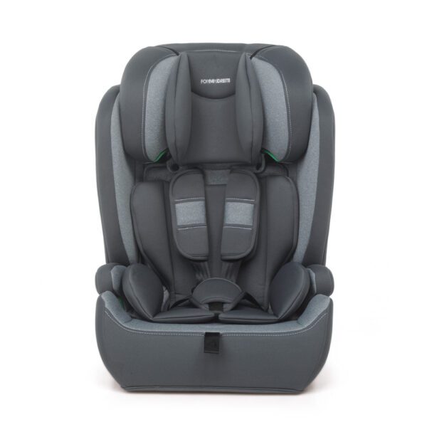 Foppapedretti Babyroad I-Size Car Seat - Silver